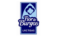 Flor de burgos